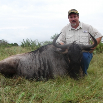 Trophy Wildebeest